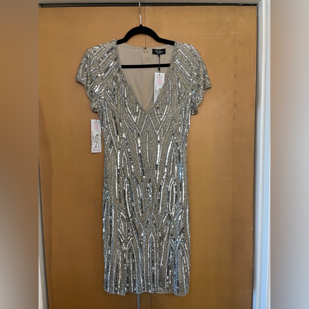 Glam Silver Jeweled Dress! Size 10. Brand Is Parker Black